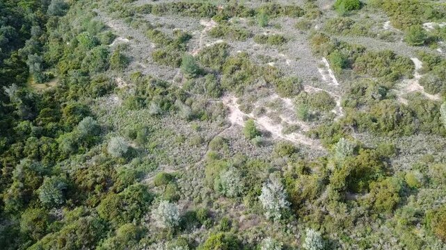 Flying over bushland on the Portoguese coast