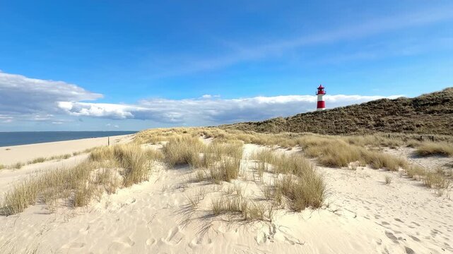 sand dunes an dune grass on the island of Sylt