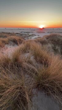 sunset in the dunes