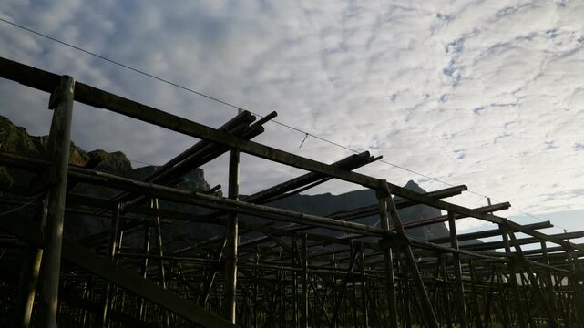 Wooden stockfish drying racks form a dense grid against a low cloudy sky and distant rocky hills.