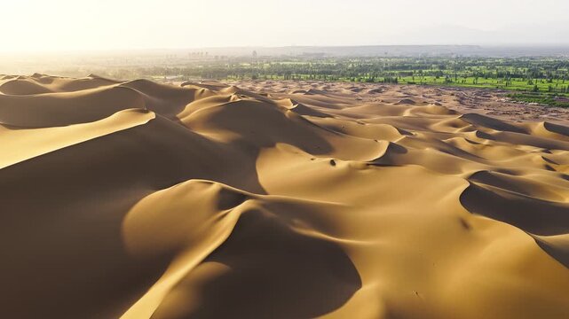 Aerial view of golden sand dunes bordering a lush green oasis town under warm sunlight in the Kumtag Desert, Xinjiang, China