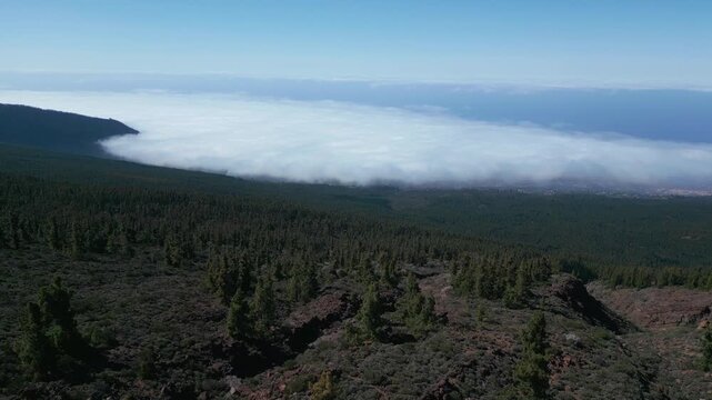 high mountain and green forest over clouds, cloudscape, Tenerife Canary islands, aerial drone view 4k