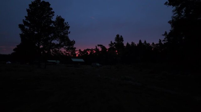 Silhouetted Pine Trees Framing Distant Camp Lights at Dusk, Sillar de los Indios, Constanza Dominican Republic