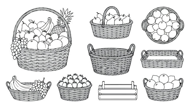 Vintage hand drawn wicker fruit basket set, black and white line art fruit collection, rustic woven hamper with organic produce vector
