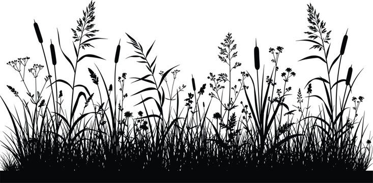 Wild Meadow Grass Silhouette Border with Reeds Flowers and Natural Plants Vector Illustration for Landscape Designs