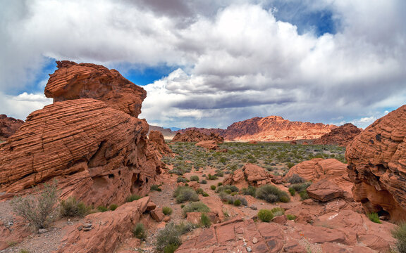 Panoramic view of the stunning red rock formations of the Valley of Fire State Park, Nevada, USA. Desert vegetation and a summer sky background.