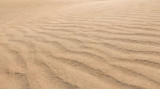 Textured sand dunes rippled by wind under natural light