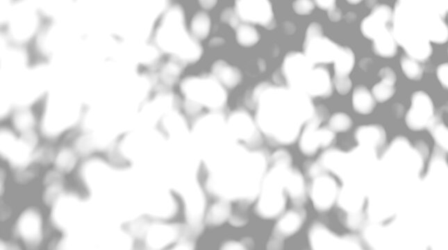 Bright circular bokeh spots dappled sunlight shadow overlay on a transparent background