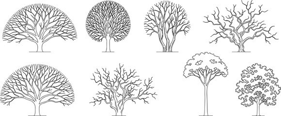 Black and white line of various types of trees and plants in a flat style line tree pine tree oak tree © MSTSUMIA
