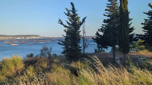 Montpelier. Oysters farms. Beautiful coastal landscape. Clear water reflects the sky. Gentle waves meet the shore. A tranquil scene invites relaxation and connection with nature.