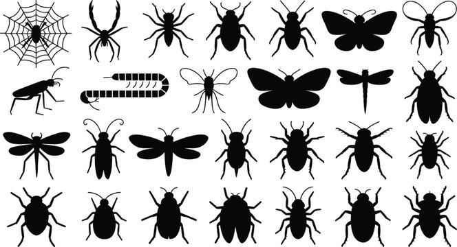Insect silhouette vector collection featuring spider web butterfly beetle cockroach dragonfly centipede bug and creepy crawly silhouettes isolated on plain white background