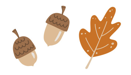 Acorn vector set featuring two hand-drawn oak nuts and an autumn leaf. This minimalist childish doodle design is perfect for cozy fall packaging, modern textiles, and Thanksgiving stationery. © Olena Yevsikova