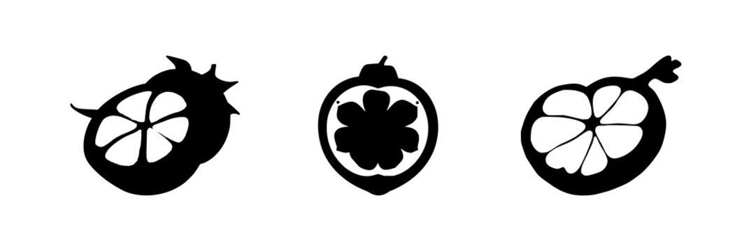 Mangosteen cross-section set with solid black silhouette on white background featuring laboratory-grown, exotic, future food with vector illustration and design