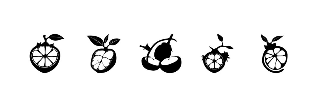 Mangosteen cross-section set with solid black silhouette on white background featuring laboratory-grown, exotic, future food with vector illustration and design