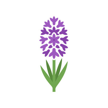 Isolated lavender flower icon with green stem and leaves, simple flat design element, natural beauty