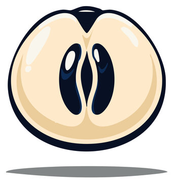 Cross-section of a Star Apple with Distinctive Pattern and Colors; Exotic Fruit, Vector Illustration