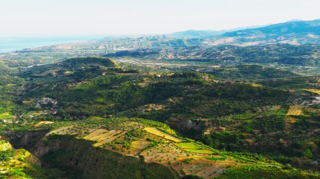 Citrus tree cultivation in Calabria, aerial view at sunset, relaxing landscape