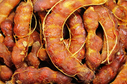 Full Frame Close Up of Fresh Ripe Tamarind Pods Texture Background