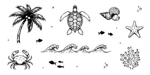 Naklejka premium Marine and Tropical Elements Illustration Featuring a Turtle, Starfish, Crab, Fish, Seashell, Coral, and Palm Tree