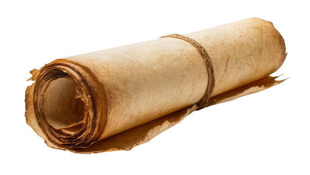 Isolated ancient rolled parchment scroll tied with rustic twine for historical document