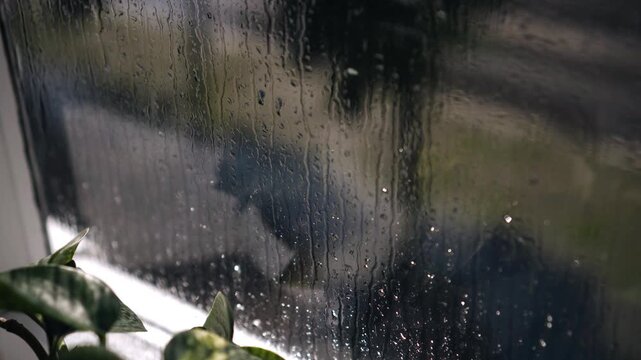Cars and traffic on the street are visible behind the wet glass of the window. The drops on the glass are clearly visible