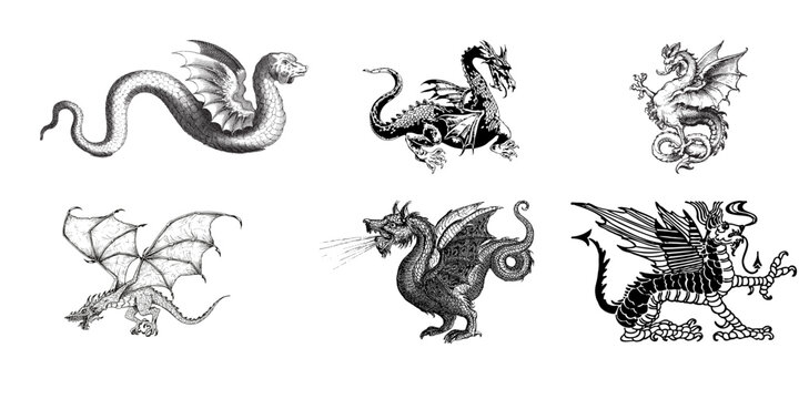 Diverse collection of vintage dragon illustrations including winged serpents and fire breathing monsters with mythical creature engraving