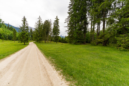 Dirt path winding through green alpine meadows near Mittenwald