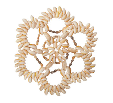 Background and texture of small shells with a spiral design for burning on a white background. Top view.