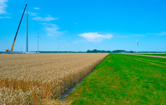 Agricultural fields and impressions in a bright summer day under a blue sky