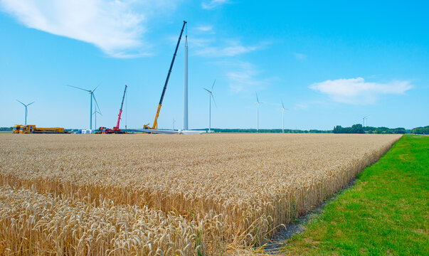 Agricultural fields and impressions in a bright summer day under a blue sky