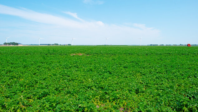 Agricultural fields and impressions in a bright summer day under a blue sky