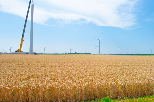 Agricultural fields and impressions in a bright summer day under a blue sky