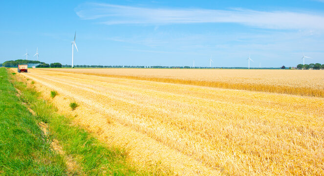 Agricultural fields and impressions in a bright summer day under a blue sky
