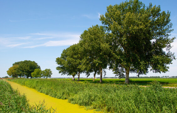 Agricultural fields and impressions in a bright summer day under a blue sky