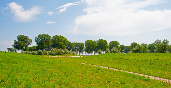Agricultural fields and impressions in a bright summer day under a blue sky