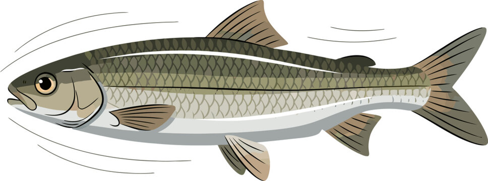 A fish swims quickly through water with fins and scales shining