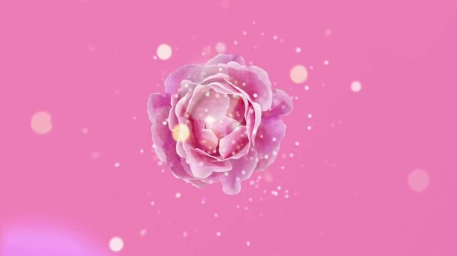 Elegant pink roses arranged in a romantic floral frame with soft blossoms and delicate decorative elements. Perfect for Valentine's Day cards, wedding invitations, greeting cards.