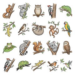 Fototapeta premium Hand-drawn wild animal icons set, 20 forest and jungle wildlife illustrations, cute woodland creatures on tree branches, vector nature collection