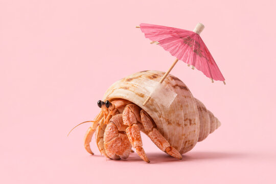 Hermit crab with cocktail umbrella on shell isolated on pastel blue background