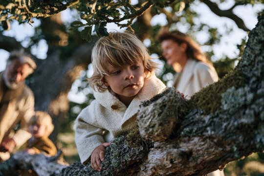 A young child curiously peers from a tree branch, surrounded by family members enjoying a serene moment in nature. The warmth of the sunlight enhances the peaceful scene.