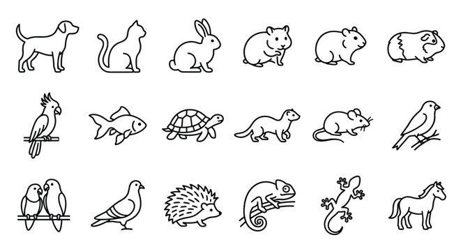 Domestic pets and small animals line icon set featuring dog cat rabbit hamster guinea pig parrot fish turtle chameleon and horse vectors for veterinary care shop