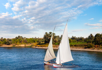 Fototapeta premium Beautiful Nile scenery with traditional Felluca sailing boat in the Nile - Aswan, Egypt