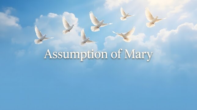 Group of white doves flying in the blue sky for the assumption of mary religious event