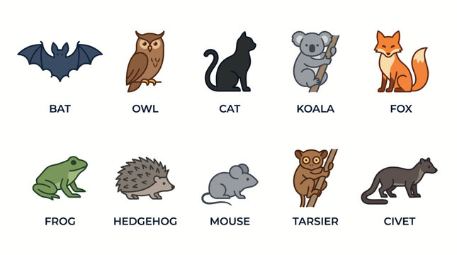 Cute Vector Set of Nocturnal Animals Flat Design Collection