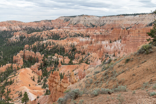 Hoodoos in Bryce Canyon National Park, Utah, USA