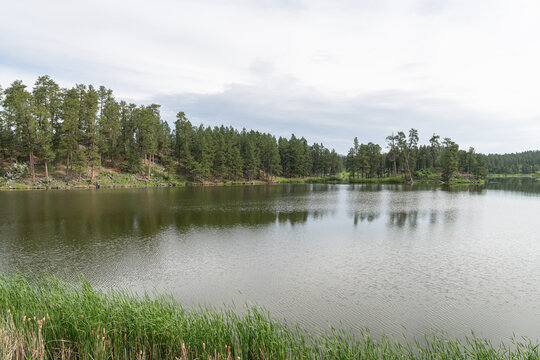 Stockade Lake in Custer State Park, South Dakota, USA