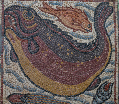 Old Greek mosaics featuring fish designs from Qasr Libya in Eastern Libya
