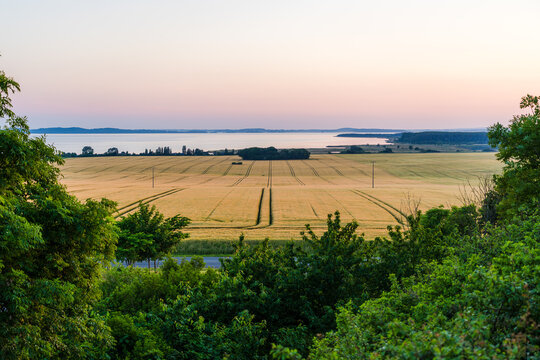 Golden Hour View over a Grain Field and the Great Jasmund Bodden on R&uuml;gen