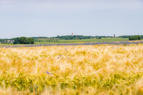 Cape Arkona Lighthouses on R&uuml;gen with Blurred Grain Field in Foreground