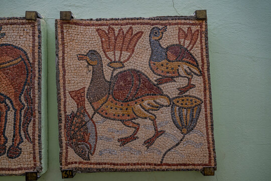 Old greek mosaics display animals and patterns in Qasr Libya, showcasing ancient craftsmanship in Eastern Libya